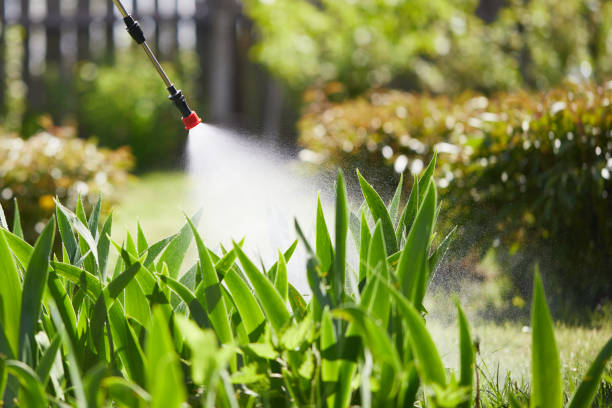 24/7 Emergency Mosquito Control experts in Pelham Manor, NY